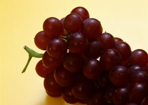 贅沢な空間でストレス解消！魅力溢れるホストクラブの魅力とは？